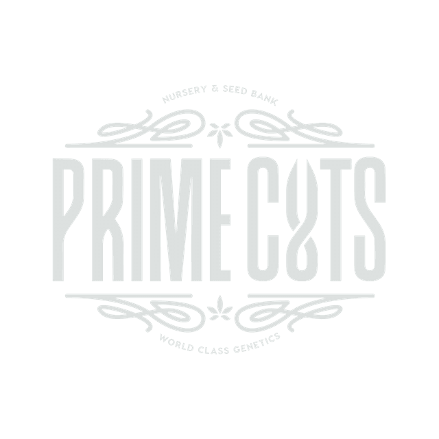 Prime Cuts Nursery