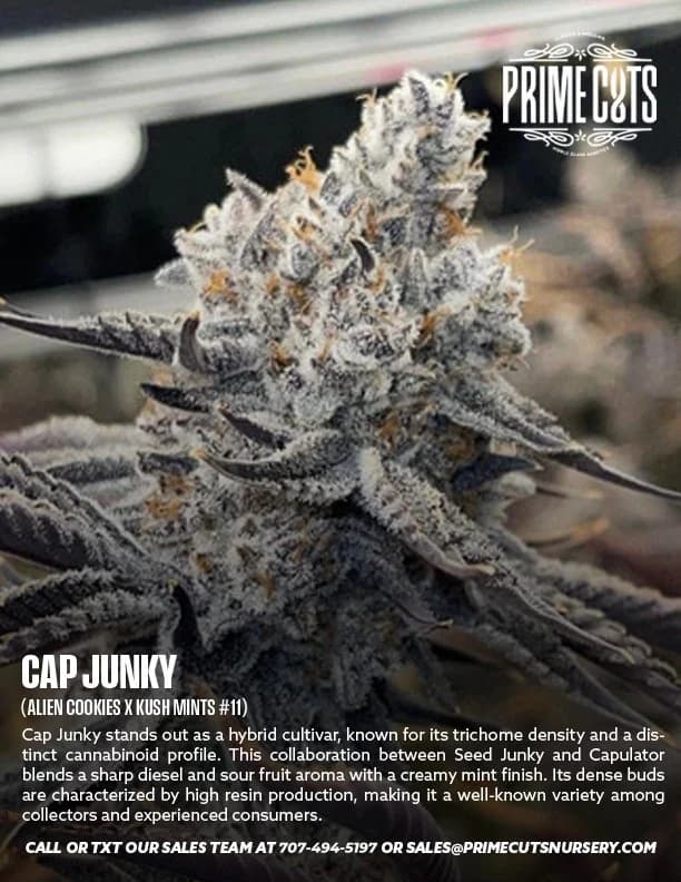 Cap Junky cannabis clones