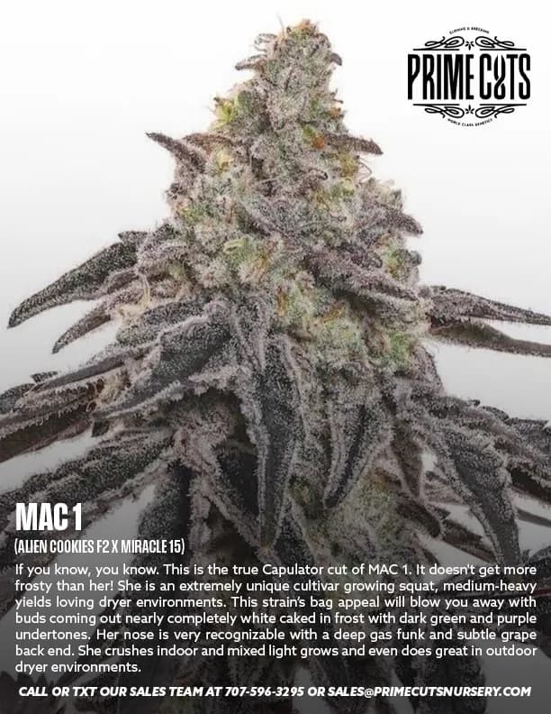 MAC 1 cannabis clones