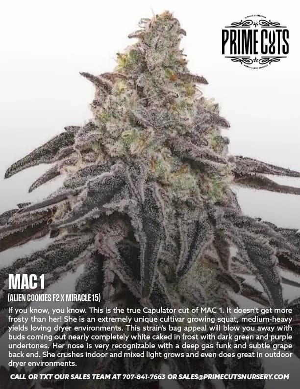 MAC 1 cannabis clones