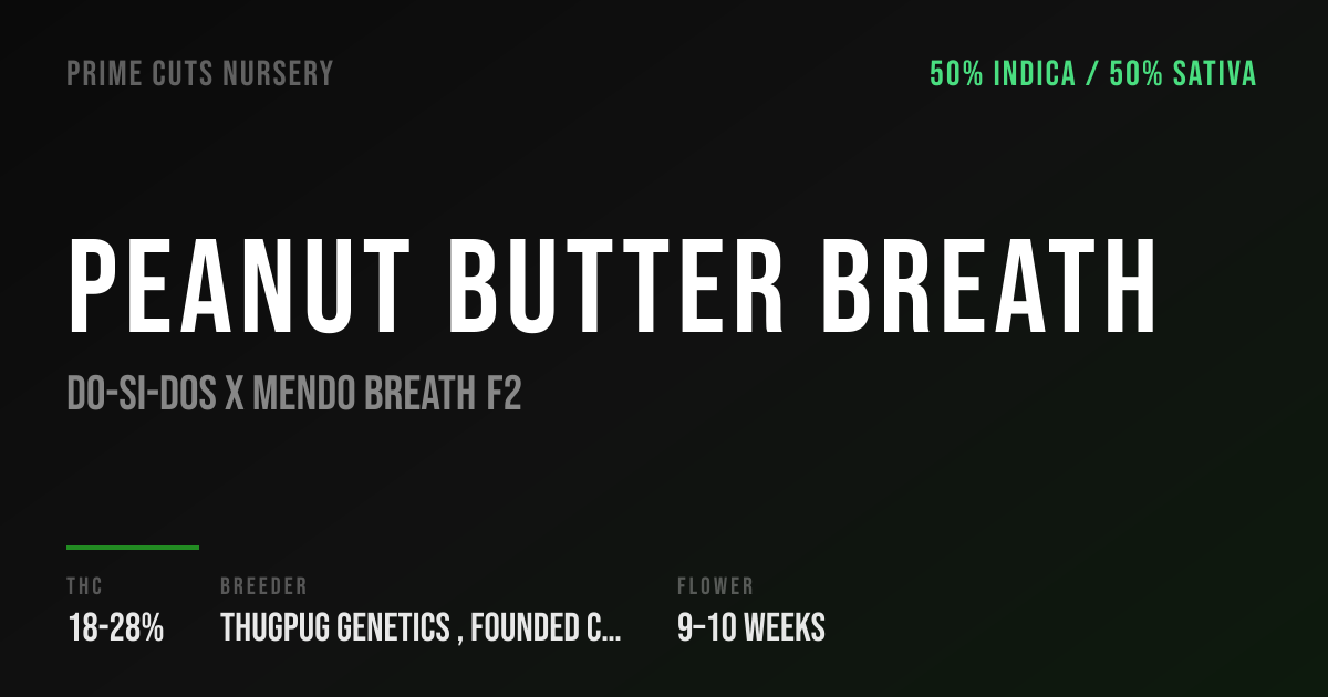 Peanut Butter Breath Strain – Grow Guide & Genetics | Prime Cuts Nursery
